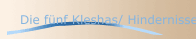 Die fünf Kleshas/ Hindernisse