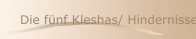 Die fünf Kleshas/ Hindernisse