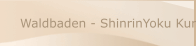 Waldbaden - ShinrinYoku Kurse